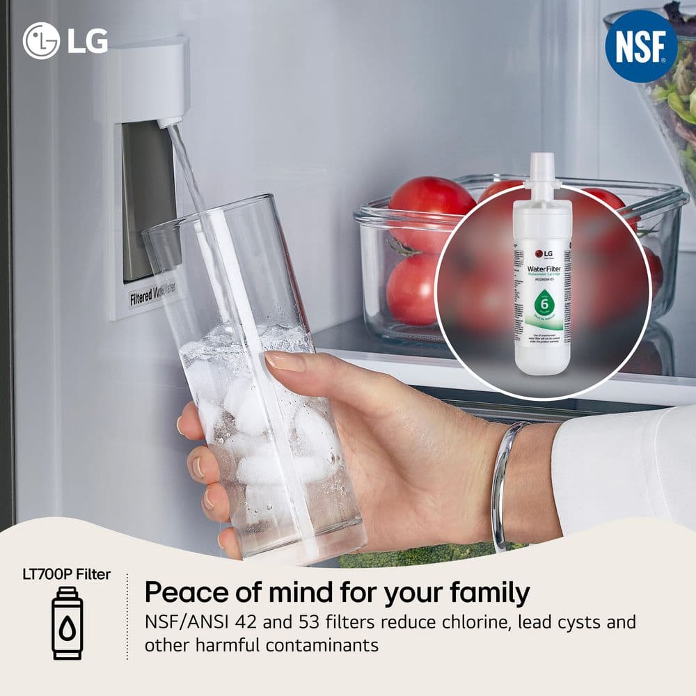 https://images.thdstatic.com/productImages/f48e91a3-952c-4177-bd98-0abc4b84c565/svn/lg-refrigerator-water-filters-lt700pc-fa_1000.jpg