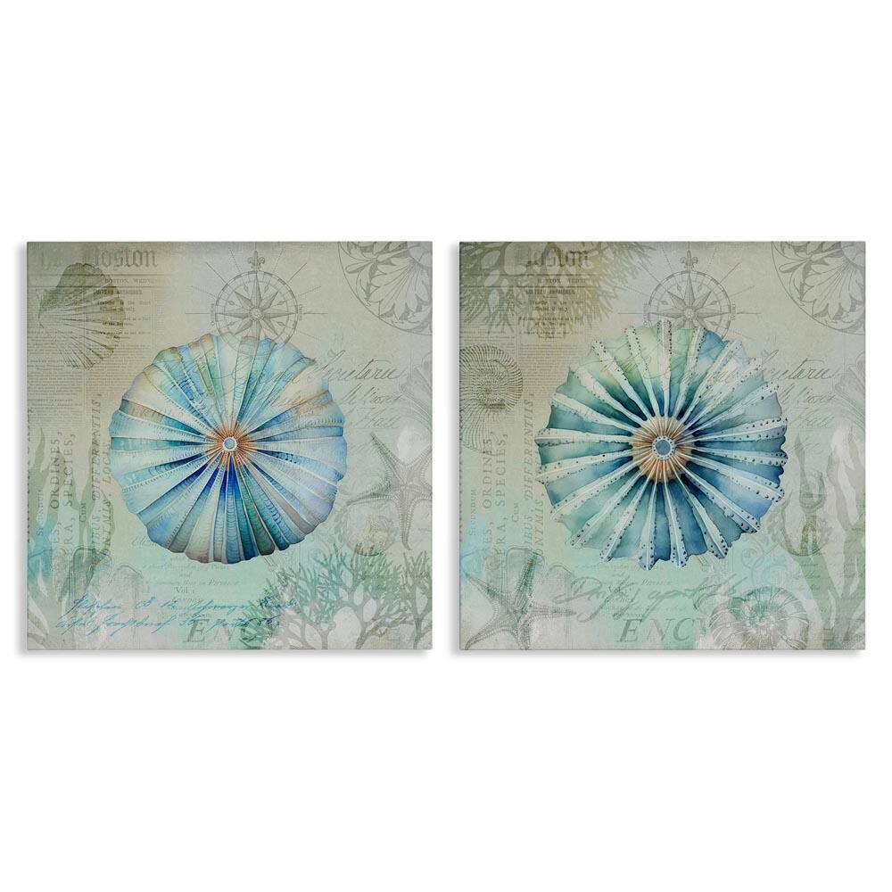 Vintage Blue Sea Urchins by Andrea Haase 2-Pieces Unframed Coastal Graphic Art Print 24 in. x 24 in. price history on PriceWatchPro