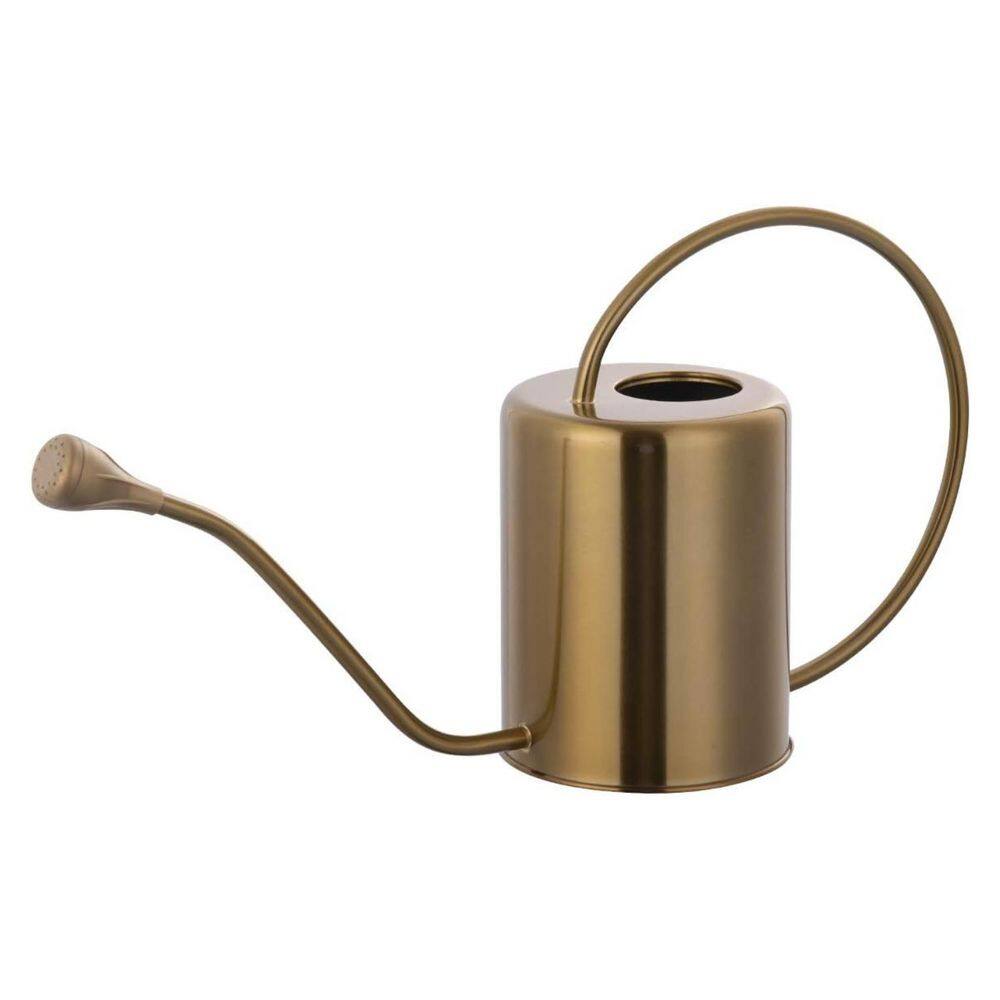 0.5 gal. Gold Stainless Steel Watering Can Indoor Outdoor Use Removable Spout Long Handle for Plants 1 Piece price history on PriceWatchPro