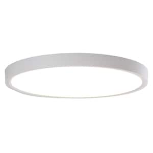 11.81 in. White Selectable CCT Color Changing LED Round Ceiling Flush Mount Light Fixture with Remote Control