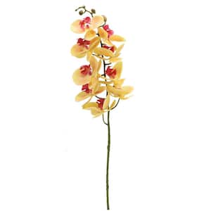 3D Silk Phalaenopsis Orchid - Orange