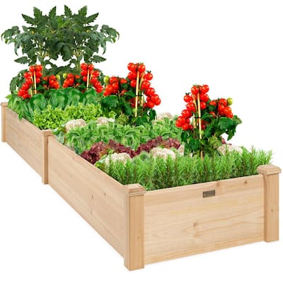 Vigoro 44.5 in. W x 15.25 in. H Easy Grow Elevated Resin Garden Bed Large  999-2201 - The Home Depot