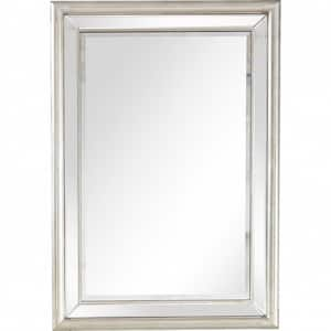 31.2 in. W x 44 in. H Glass Silver Decorative Mirror