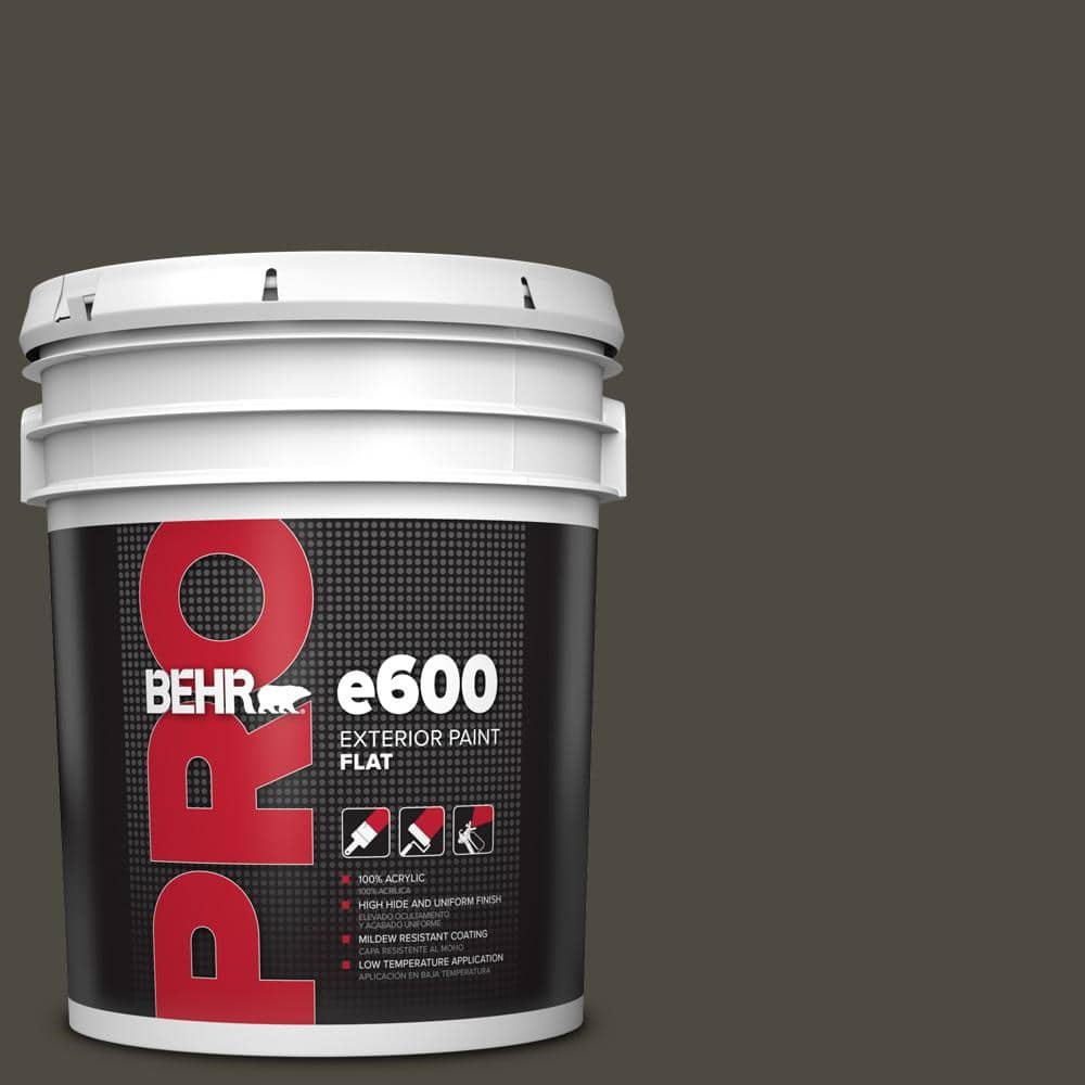 5 gal. #S-H-780 Thorny Branch Flat Exterior Paint price history on PriceWatchPro