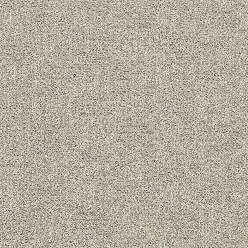 8 in. x 8 in. Pattern Carpet Sample - Nestled Nooks - Color Nurture price history on PriceWatchPro