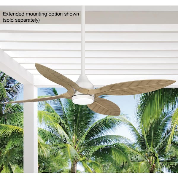 Melba 54 in. Indoor/Outdoor Matte White Ceiling Fan with Remote and White Color Changing Integrated LED