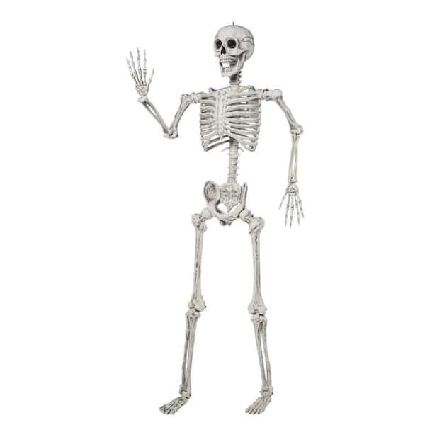 Joyfy 5.6 FT Halloween Posable Life Size Skeleton Full Body Realistic ...