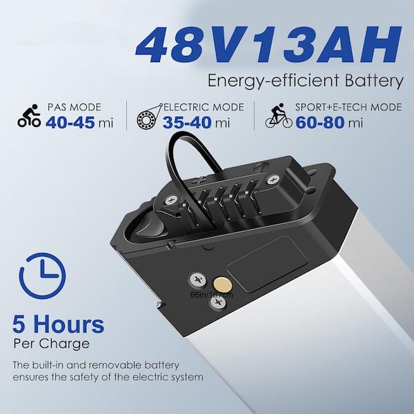 48v best sale 750w battery