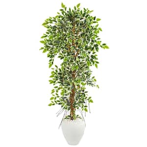 Indoor 5.5 Elegant Ficus Artificial Tree in White Planter