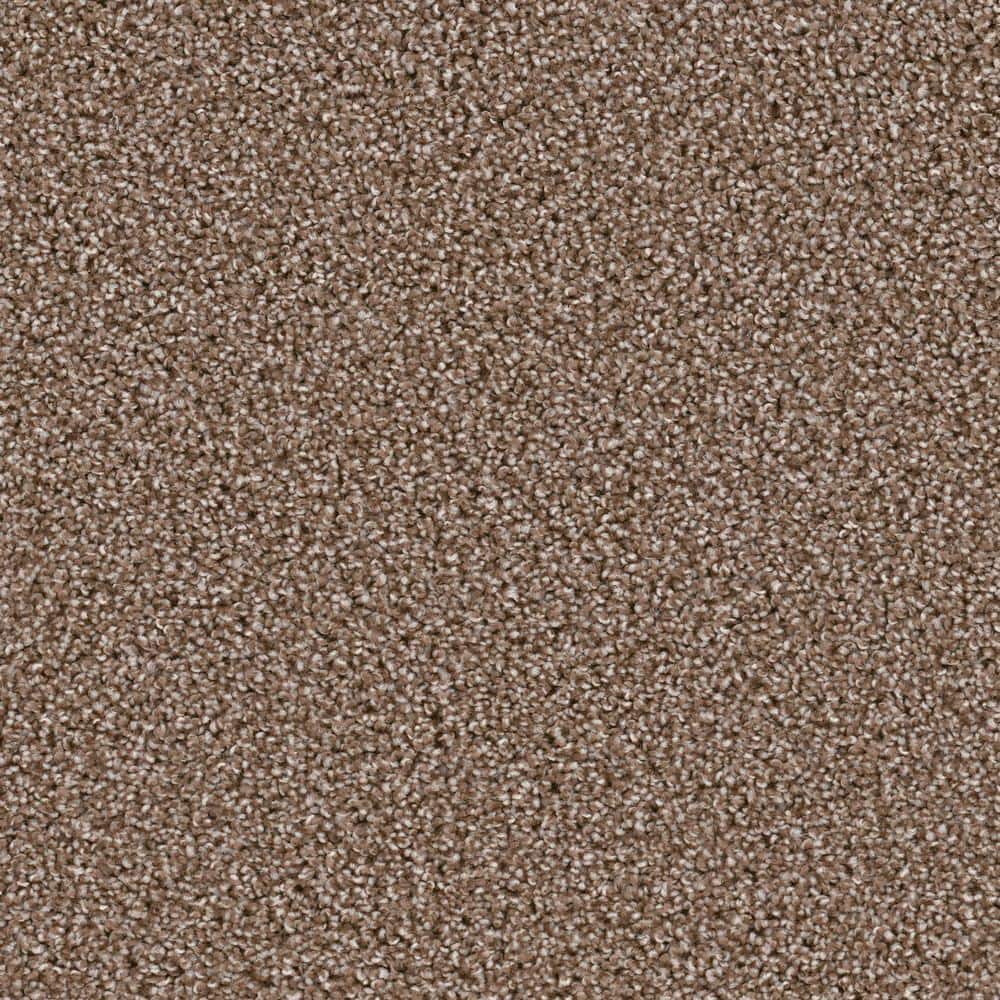 8 in. x  8 in. Texture Carpet Sample - Happy Chance -Color Overjoyed price history on PriceWatchPro