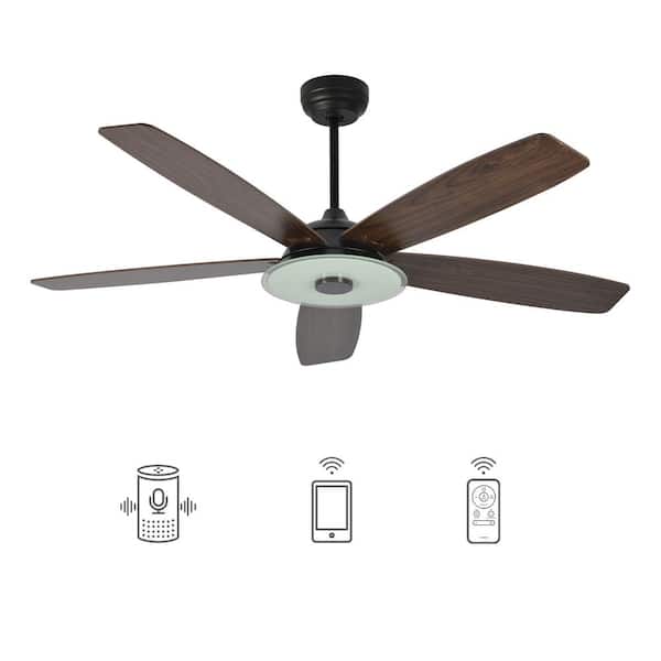 CARRO Hardley 56 in. Dimmable LED Indoor/Outdoor Black Smart Ceiling Fan with Light and Remote, Works with Alexa/Google Home
