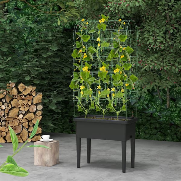 HONEY JOY Metal Raised Garden Bed with Trellis Self-Watering Water