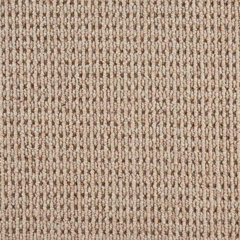 6 in. x 6 in. Loop Multi Level Carpet Sample - Embrace - Color Oatmeal price history on PriceWatchPro