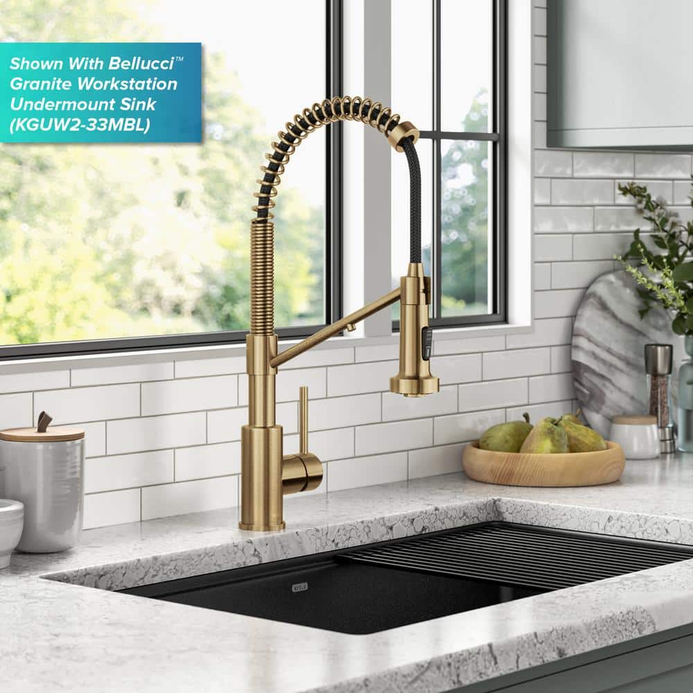 Bolden 2-in-1 Commercial Style Pull-Down Single Handle Water Filter Kitchen Faucet in Brushed Brass