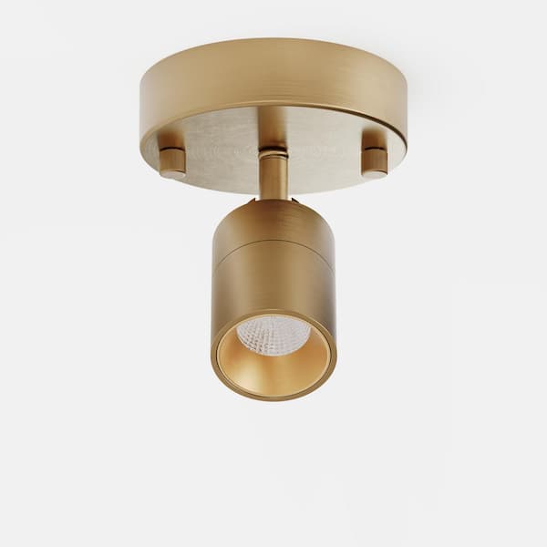 Shura 1-Light Brushed Brass Integrated LED Spot Light w/ Rotatable Light Head, Monopoint Track Light, 3000K, 490 Lumen