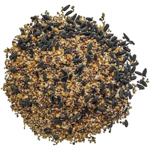 Spicy Signature Wild Bird Food