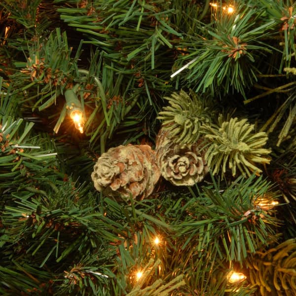 pine christmas tree