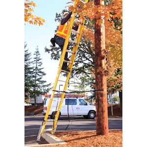 20 ft. Fiberglass D-Rung Leveling Extension Ladder with 375 lb. Load Capacity Type IAA Duty Rating