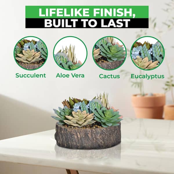 Assorted Artificial Succulent Collection 5.51 in. Green Purple Indoor  Succulent Cactus Aloe Artificial Plant Set 59C1124D1973 - The Home Depot