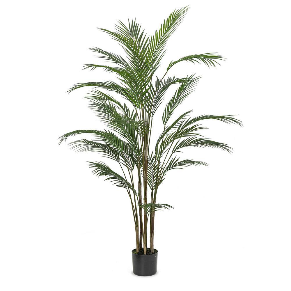 Botanical 4.8 ft. Artificial Madagascar in Pot