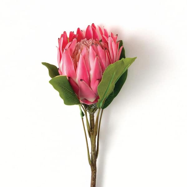 SULLIVANS 24.5 in. Pink Indoor Artificial Protea Flower Spray