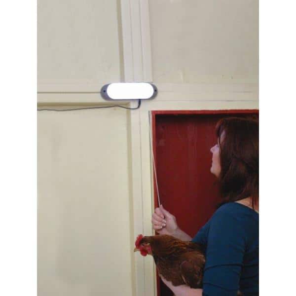 Bronze Solar Powered LED Area Light with 10 Bulbs