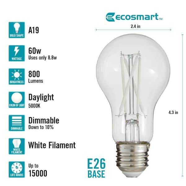 60-Watt Equivalent A19 Dimmable White Filament CEC Clear Glass E26 Medium Base LED Light Bulb, Daylight 5000K (2-Pack)