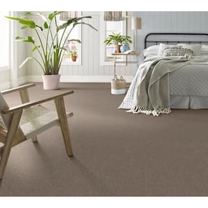 House Party II - Rich Earth - Brown 51.5 oz. Polyester Texture Installed Carpet