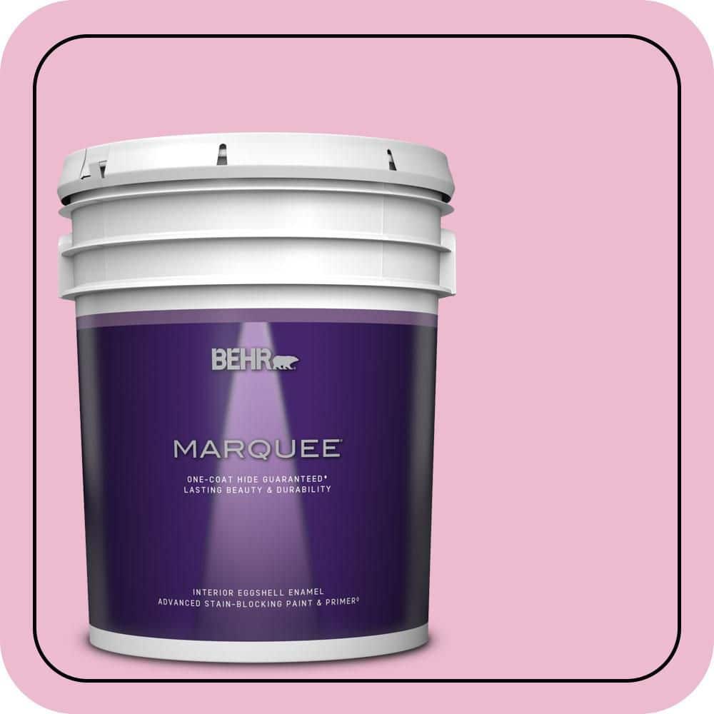 5 gal. #P130-2A Dainty Pink Eggshell Enamel Interior Paint & Primer price history on PriceWatchPro
