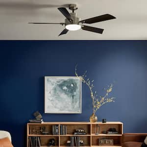 Guardian 56 in. Indoor Brushed Stainless Steel Downrod Mount Ceiling Fan with Integrated LED with Wall Control Included