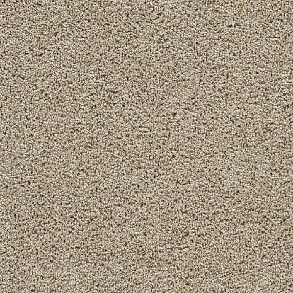 8 in. x 8 in. Texture Carpet Sample-Friendship Fables-Color Peace price history on PriceWatchPro