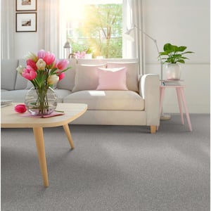 Coastal Charm II Color Ecru Beige 56 oz. Nylon Texture Installed Carpet