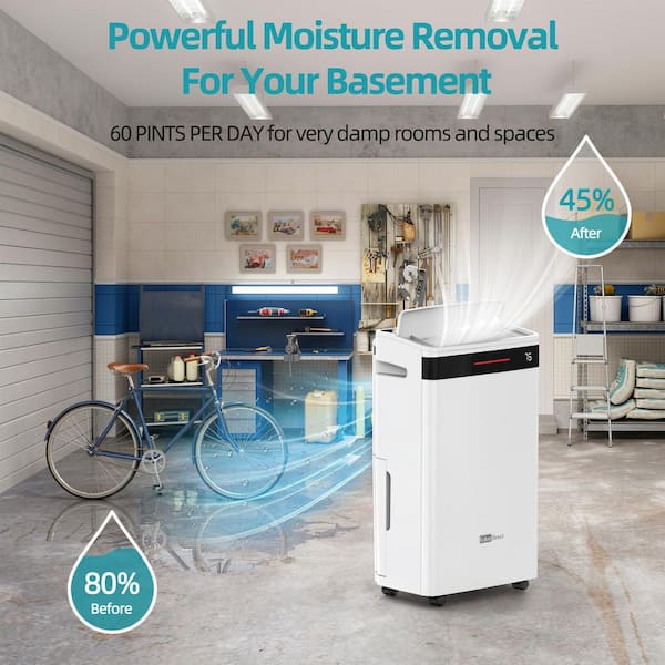 60 pt. 5,500 sq. ft. Portable Dehumidifier for Basement with Bucket, Drain Hose, Auto Defrost, Washable Filter (White)