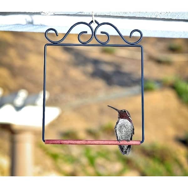 Red Swinging Bird Perch POP'S Birding Company Home Sweet Home Hummingbird Swing 