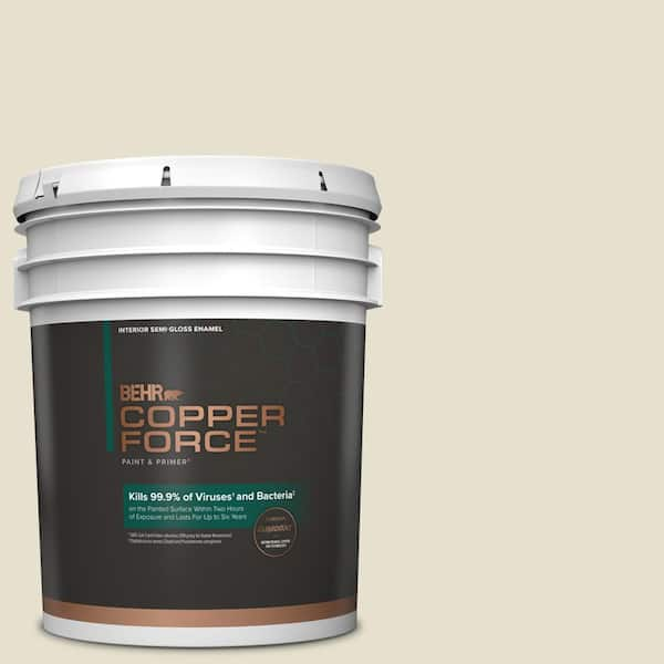 https://images.thdstatic.com/productImages/f4dff0ee-b8de-4972-a478-4950476f0e05/svn/climate-change-copper-force-paint-colors-319005-64_600.jpg