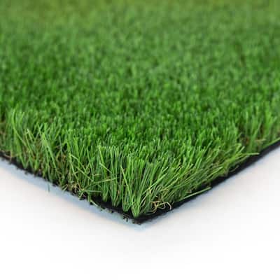 Fescue Multipurpose 12 ft. Wide x Cut to Length Green Artificial Grass Carpet