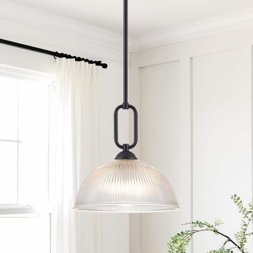12 in. 1-Light Painted Black Dimmable Pendant Light with Clear Ribbed Glass price history on PriceWatchPro