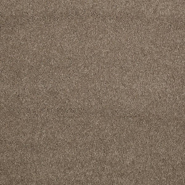 Coral Reef II - Bark Tone - Brown 93.6 oz. Nylon Texture Installed Carpet