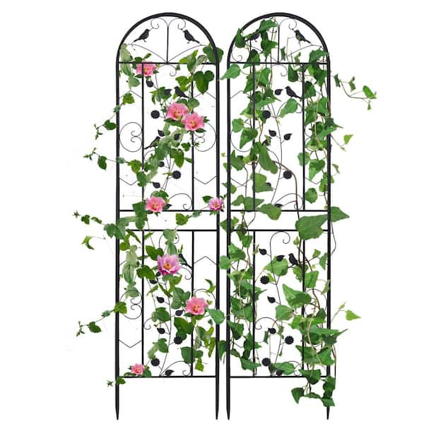 AESOME 82 in. Garden Trellis Black Metal Outdoor Trellis PTJ121 - The ...