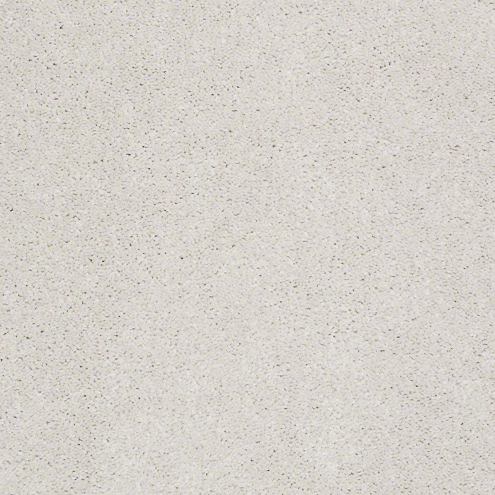 8 in. x 8 in. Texture Carpet Sample - Brave Soul I - Color Crisp Linen price history on PriceWatchPro