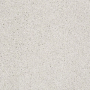 Brave Soul I - Crisp Linen - Beige 34.7 oz. Polyester Texture Installed Carpet