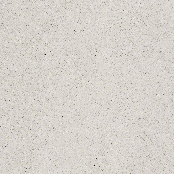 Home Decorators Collection Brave Soul I - Crisp Linen - Beige 15 ft. 34.7 oz. Polyester Texture Carpet - Installation Required