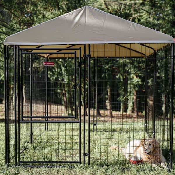 Lucky Dog 8 ft. x 8 ft. x 6ft. H Stay Executive Kennel