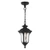 Livex Lighting Oxford 1 Light Textured Black Outdoor Pendant Lantern ...