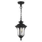 Livex Lighting Oxford 1 Light Textured Black Outdoor Pendant Lantern ...