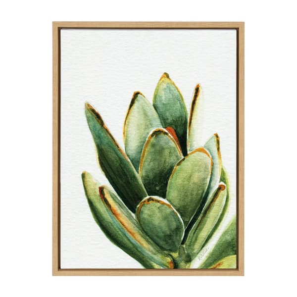 Kate and Laurel Sylvie Succulent 18 by Redstreake Framed Canvas Wall Art  216837 - The Home Depot