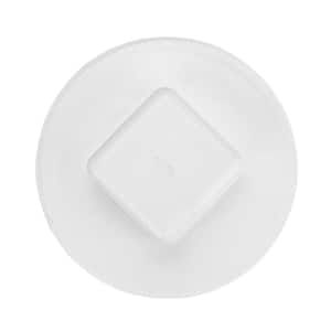 PVC S&D Cleanout Plug, 4 in. MPT