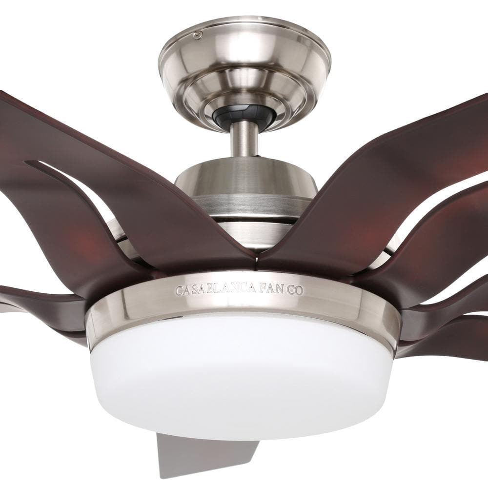Correne 56" Brushed Nickel Ceiling Fan with Coffee Beech Blades and LED Light