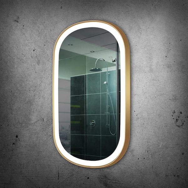 Unbranded 28 in. W x 48 in. H Oval Gold Framed Wall Mounted Bathroom Vanity Mirror 6000K LED
