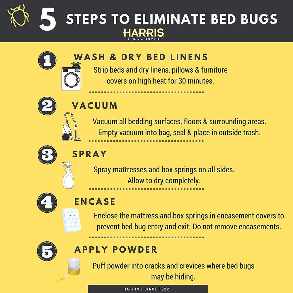 Harris Resistant Bed Bug Powder with Applicator Brush, 4 Oz
